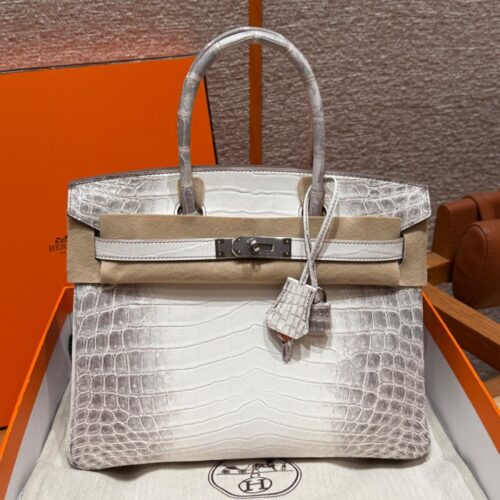 올수공 에르메스 버킨 25 Himalaya 악어 가죽 실버 하드웨어