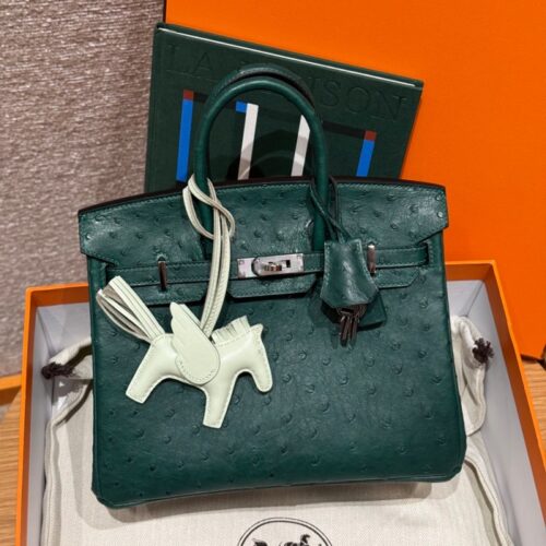 올수공 에르메스 버킨 25 Z6/malachite 타조 가죽 실버 하드웨어